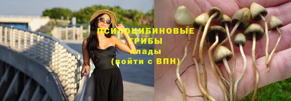 скорость mdpv Бронницы