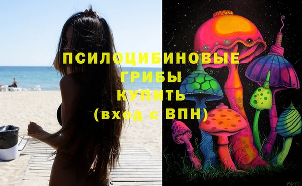 мдпв Бугульма