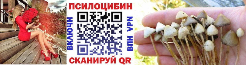 Галлюциногенные грибы Cubensis  хочу   Ворсма 
