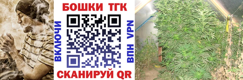 Каннабис планчик Ворсма